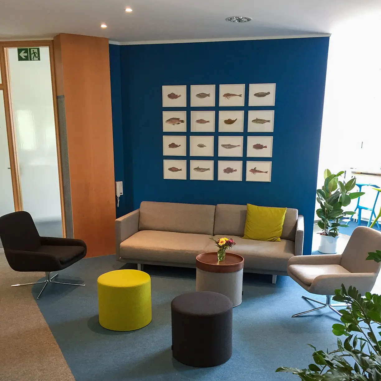 Auf in ein neues, großen Büro mit Platz für 10 Kolleg*innen und ein paar Fische.